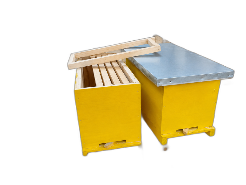 Catcher Box