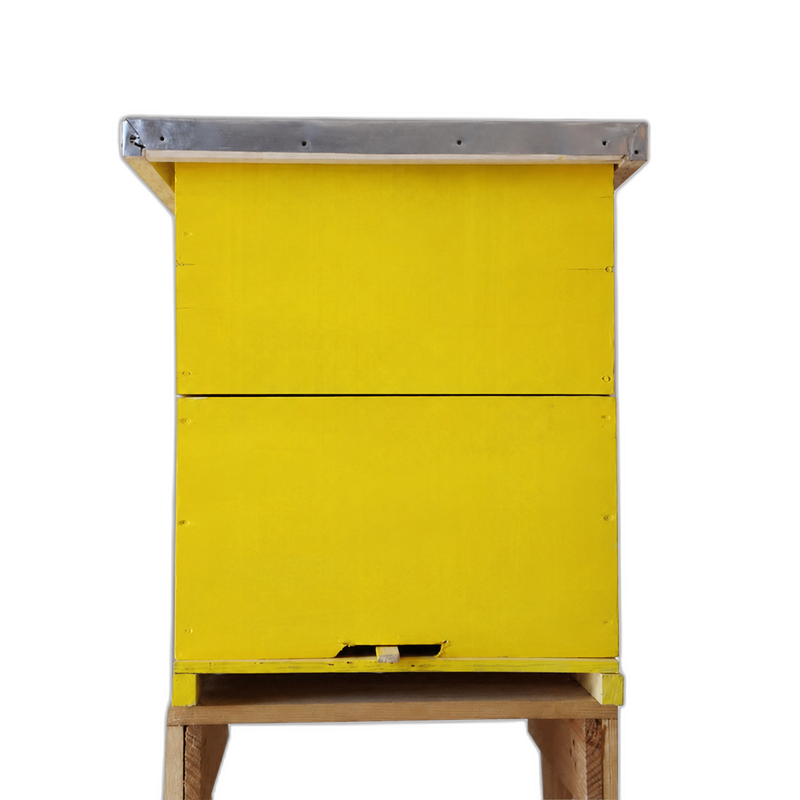 Beehive