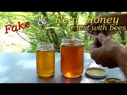 How to Identify Pure Raw Honey vs Processed Honey