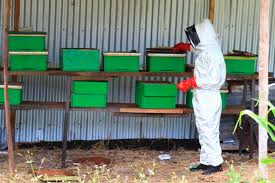 Can Beekeeping Be Done Part-Time?